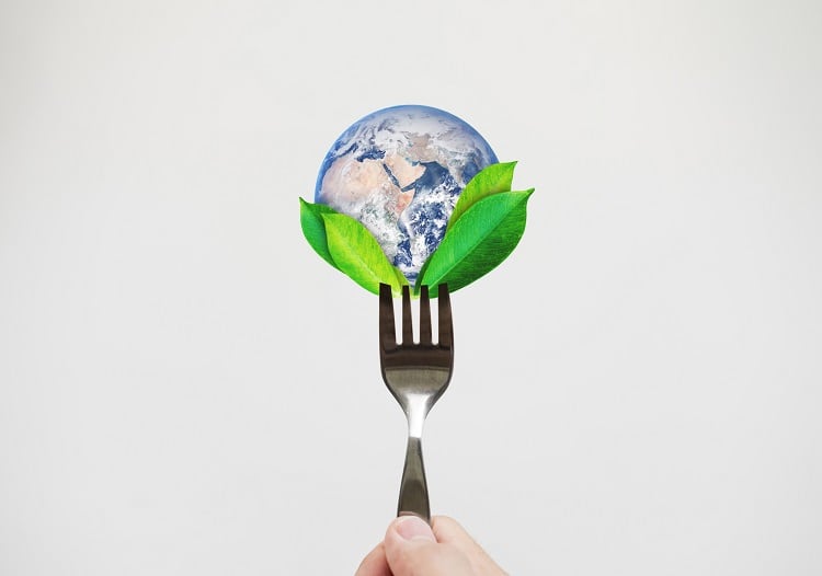 Reform of national dietary guidelines ‘urgently needed’ for health and sustainability