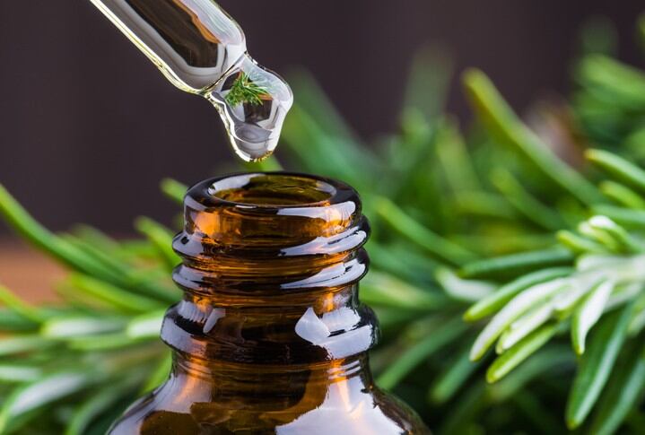 ‘Warm, sensual and rounded’: How IFF-LMR's wild-harvested Peru Balsam supports biodiversity 