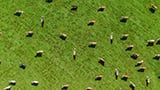 Collaborative, Sustainable and Scalable Innovation Thrives Despite Pandemic