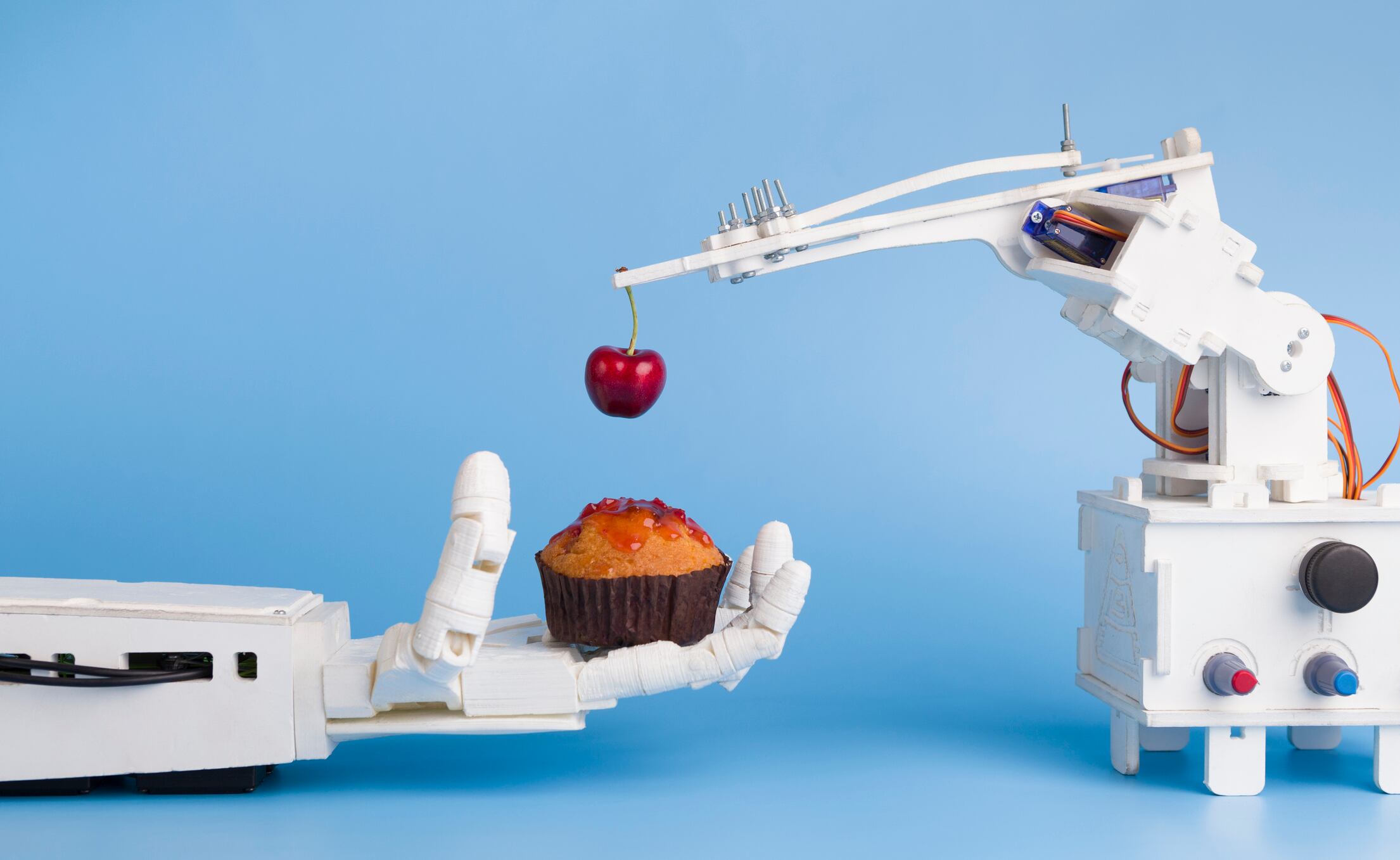 Robots ‘ready to extend reach’ in food industry