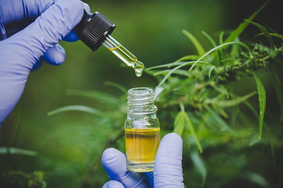 Prinova-and-Open-Book-Extracts-partner-on-CBD-product-development.jpg
