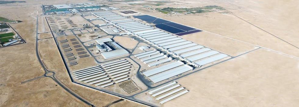 How-to-build-a-dairy-business-in-challenging-times.jpg