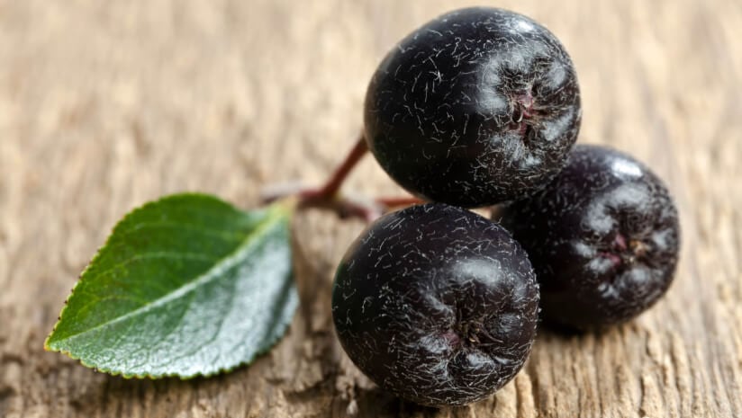 Polish-government-eyes-South-East-Asia-as-next-major-export-market-for-apples-and-aronia-berries.jpg