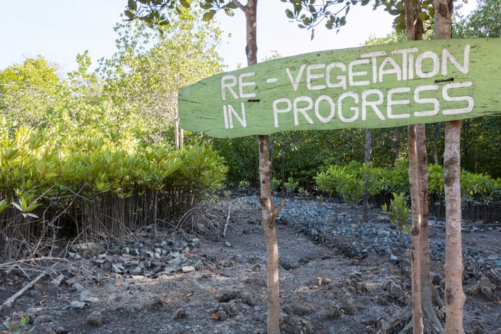 Greenwashing, greenhushing and confusion… Carbon market responds with clearer rules on offsetting