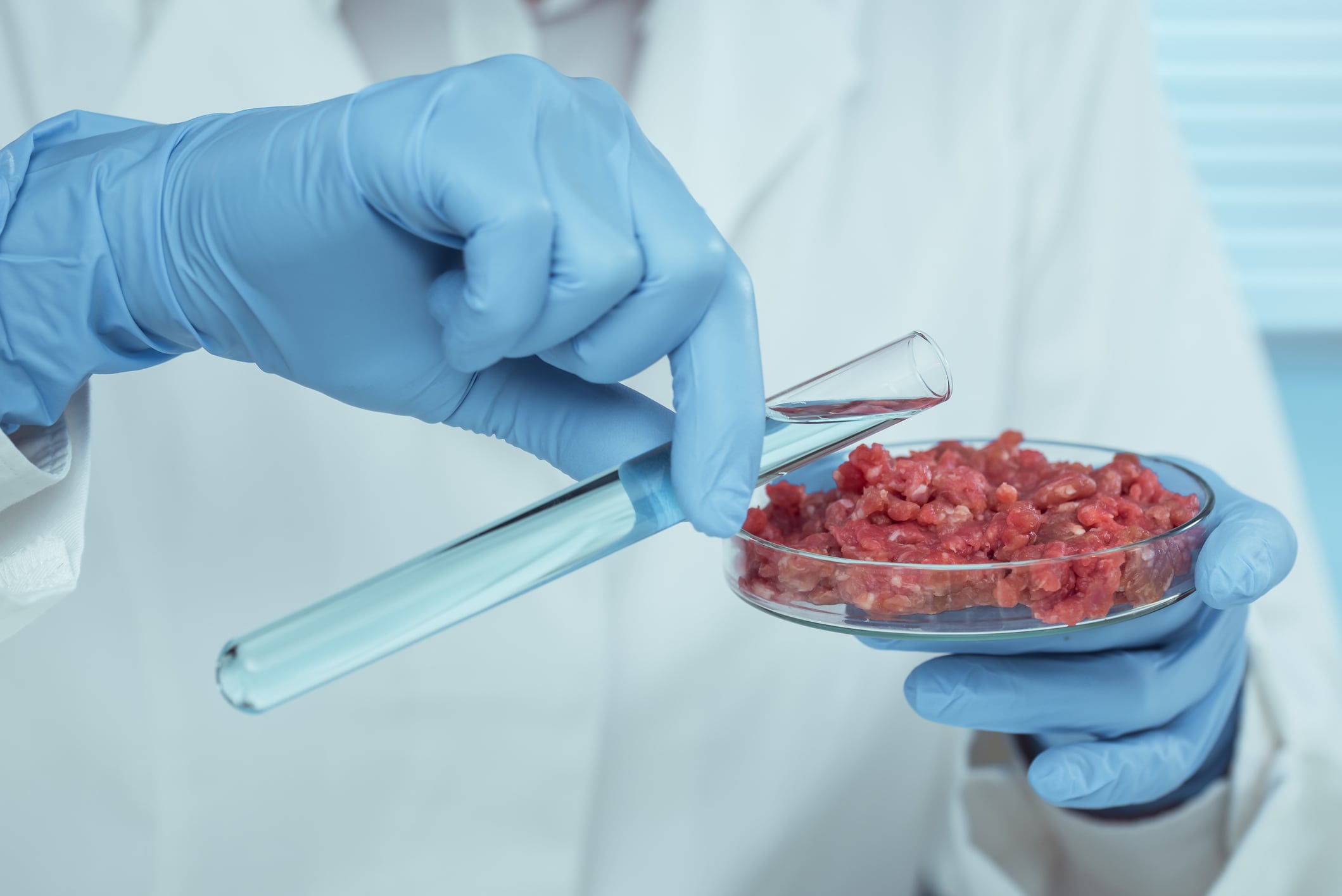 EU to boost market access for novel foods