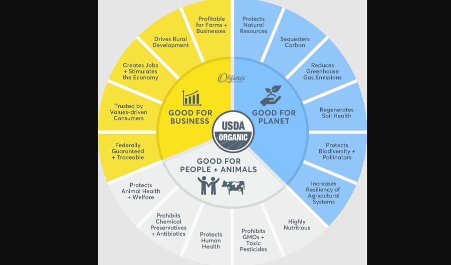 OTA-embraces-magical-co-CEO-model-to-take-advantage-of-all-the-opportunities-available-to-organic.jpg