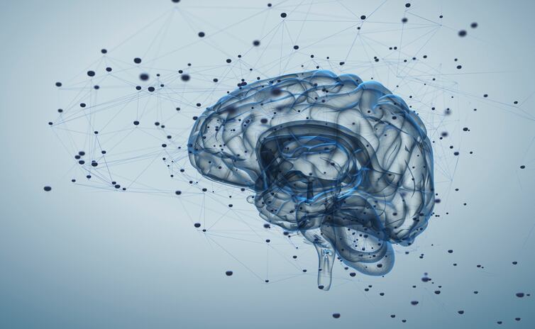 Flavanols for thought: intakes may restore memory in older adults