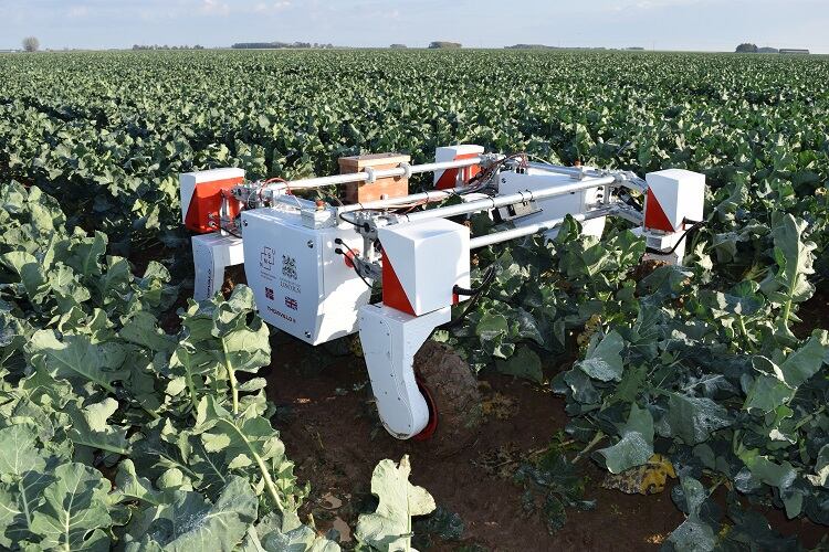 New robotics centre addresses ‘real challenges’ in agri-food: Labour shortages and weed control