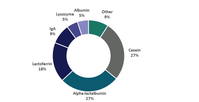 whey-proteins-and-caseins-composititon-of-human-milk.jpg