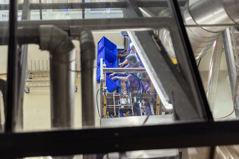 Tech innovation to further fuel plant-based boom, claims Planted after successful fund raise