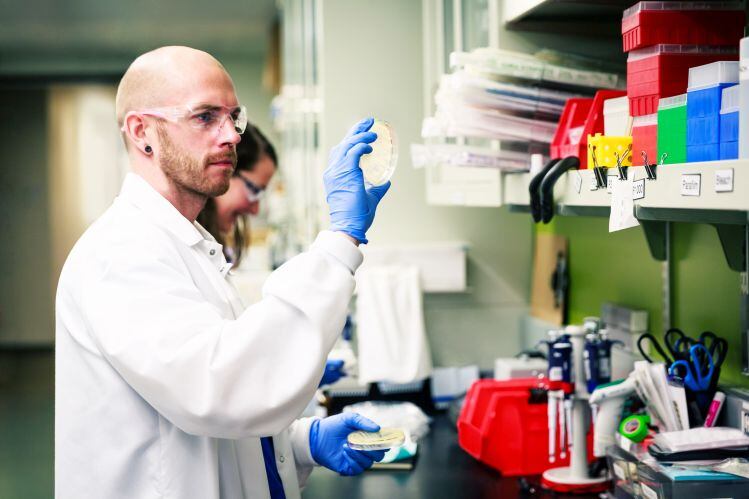 Amyris-teams-up-with-LAVVAN-to-bring-fermentation-derived-CBD-to-market-in-2020.jpg
