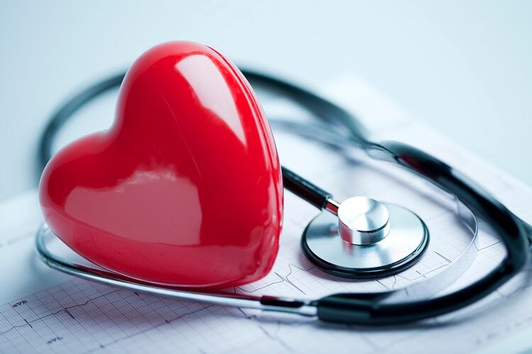 Is a high-protein diet damaging to heart health?