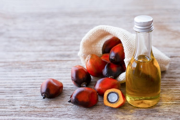 Palm oil major quits no-deforestation initiative HCSA: A commitment to efficiency or a ‘dangerous sign of backsliding’?