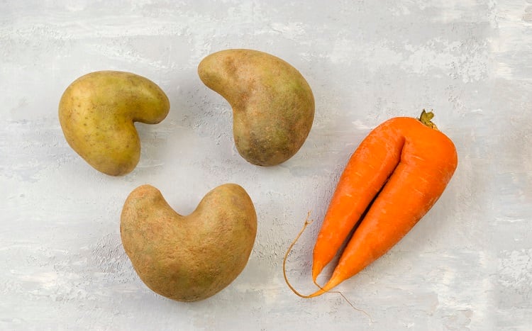 veg-TATIANA-DOLGOVA.jpg