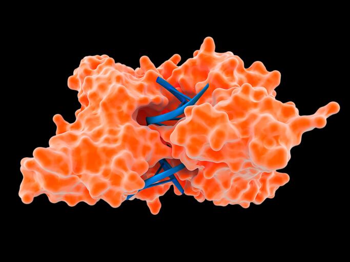 Israeli startup uses AI to design novel enzymes, cutting cost of ingredient production