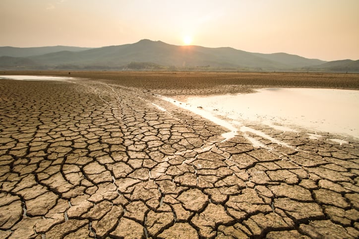 ‘Water risk should be the leading ESG issue’: Water scarcity threat to food sector revealed
