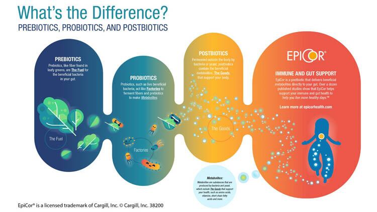 The Future of Immune and Gut Health: Postbiotics
