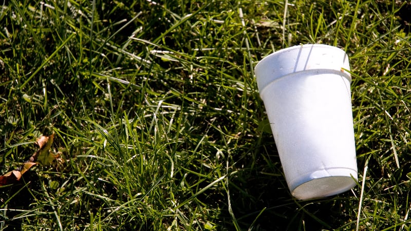 Stopping single-use: Abu Dhabi to ban specific Styrofoam products from June 1