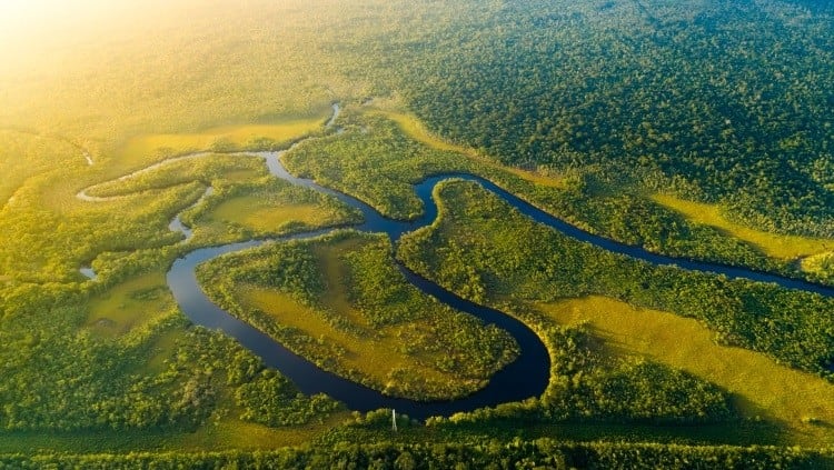 Marfrig Foods passes Amazon cattle sourcing audit