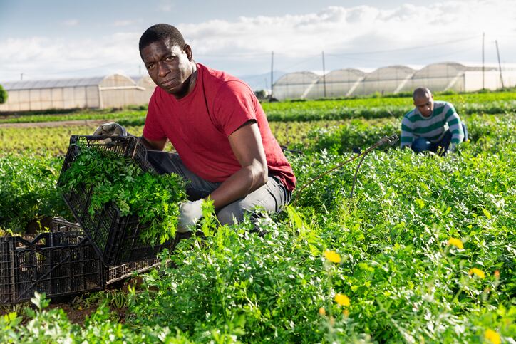 USDA-Sec.-Vilsack-Creating-more-equitable-opportunities-for-Black-farmers-is-a-rising-tide-that-can-lift-all-boats.jpg