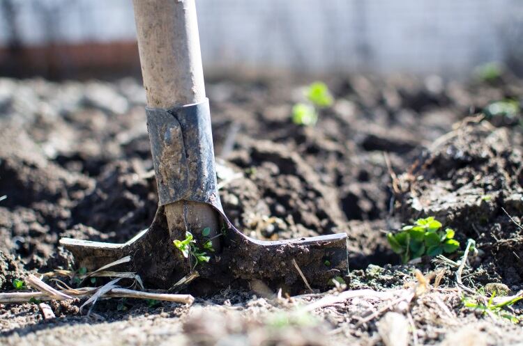UK Government to end direct payments to farmers