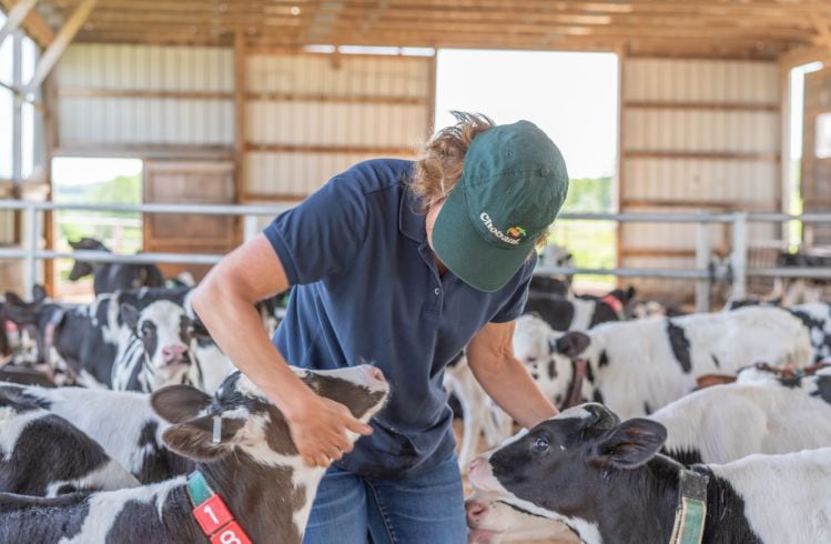 Chobani collaborates with Fair Trade USA to explore new standard and certification for dairy