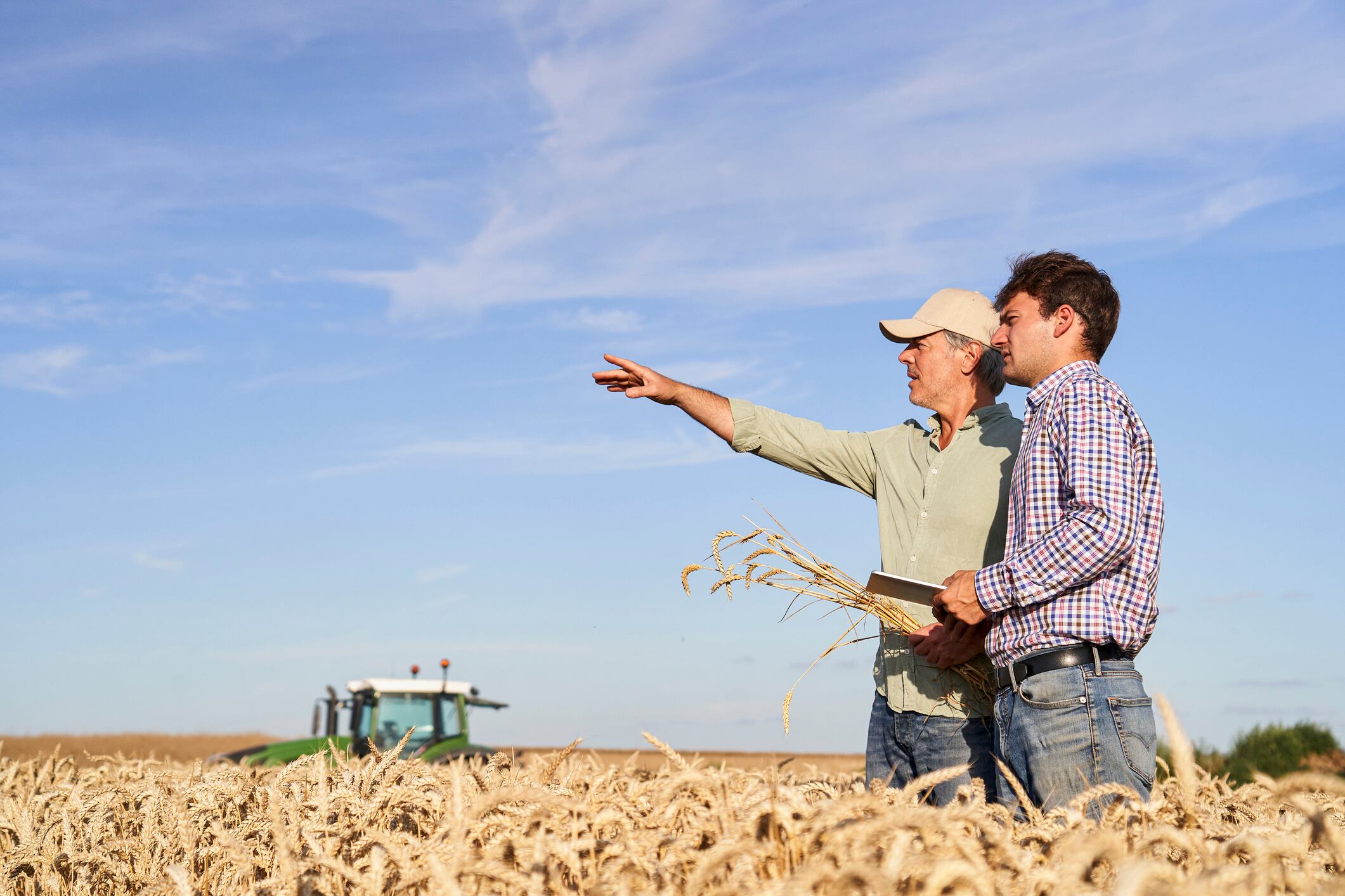 Two farmers in a wheatfield, with a tractor in the distance