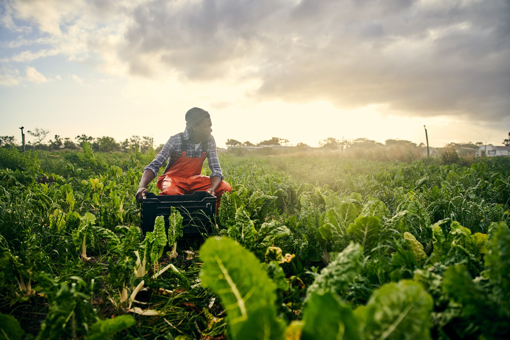 Largest companies' supply chains now vulnerable to climate