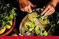 The importance of naturalness: Using botanical extracts and organic ingredients to satisfy evolving consumer needs