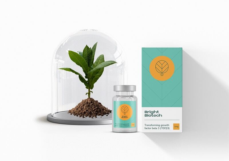 Beating the ‘bioreactor bottleneck’ for cultivated meat: Startup grows low-cost, ‘fermentation-free’ growth factors in tobacco plants