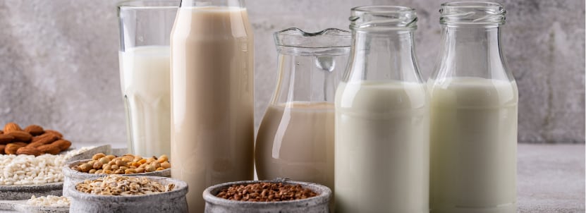 Benefit by Frulact Nutrient Density in Plant-Based Alternatives
