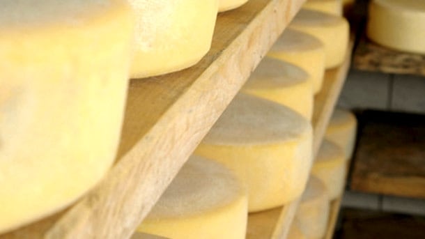 Cheeese.jpg