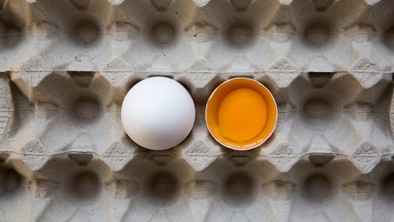 Egg prices serve as ‘bellwether’ to slumping dairy units in March