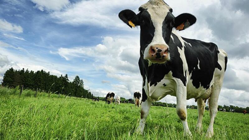 Coles boycott: Australia supermarket targeted over refusal to back 10-cent milk levy