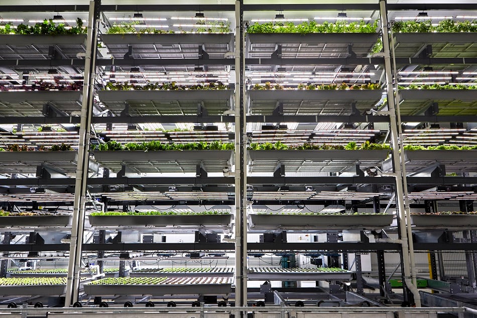Bowery-Farming-appoints-former-Google-exec-as-CTO.jpg