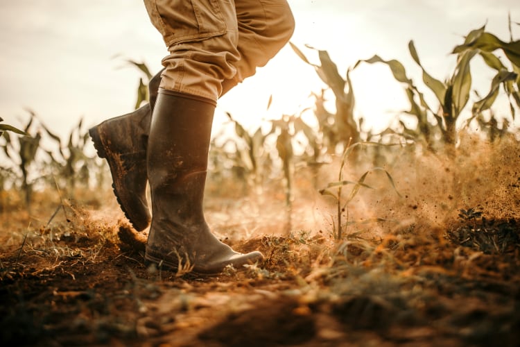 Spain urged to adopt 10 measures to guarantee access to healthy, sustainable food