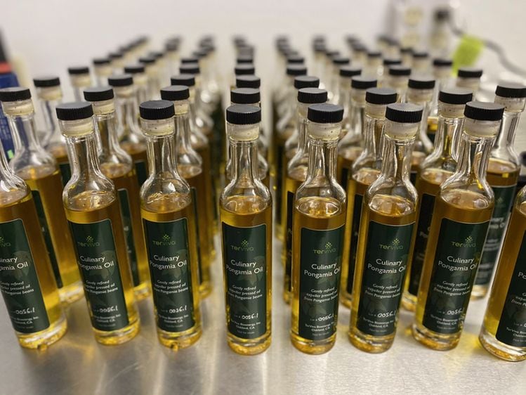 Culinary-Pongamia-Oil-Bottles-credit-Ted-Garcia.jpg