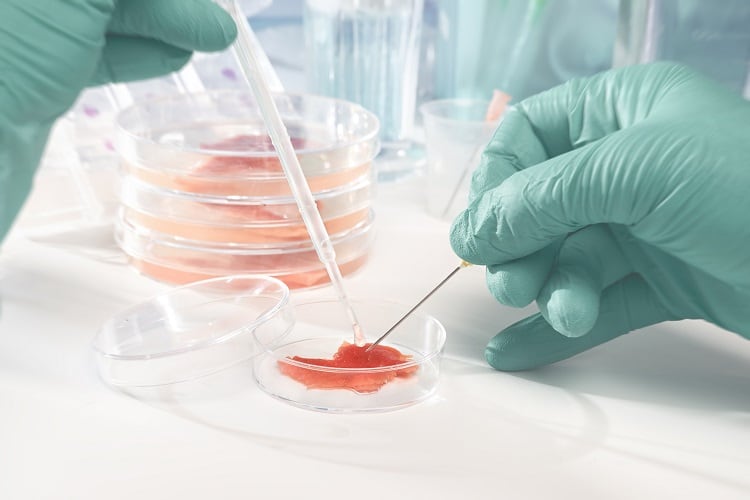 Higher-Steaks-Cultured-meat-start-up-eyes-sausage-and-bacon-market.jpg