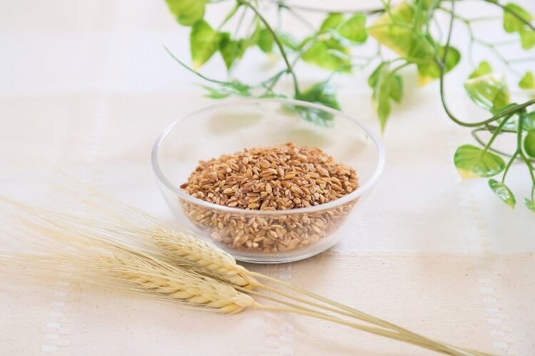 High fibre super barley rolls out in the EU