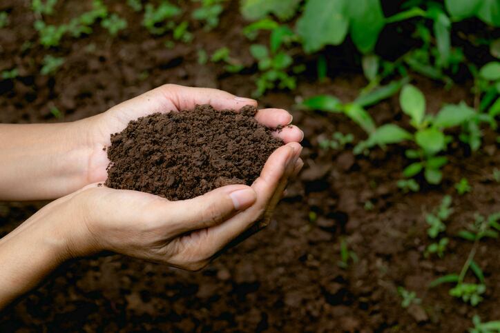 As pressure to lower organic prices mounts, farmers look to 'creative' solutions to maintain their livelihood