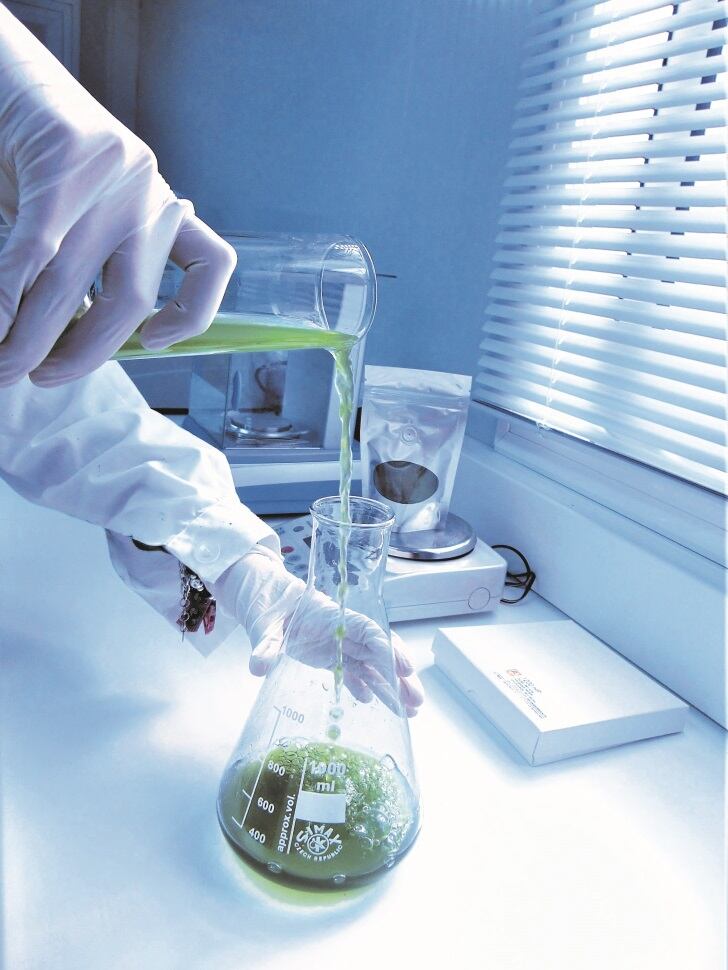 algaenergy2.jpg