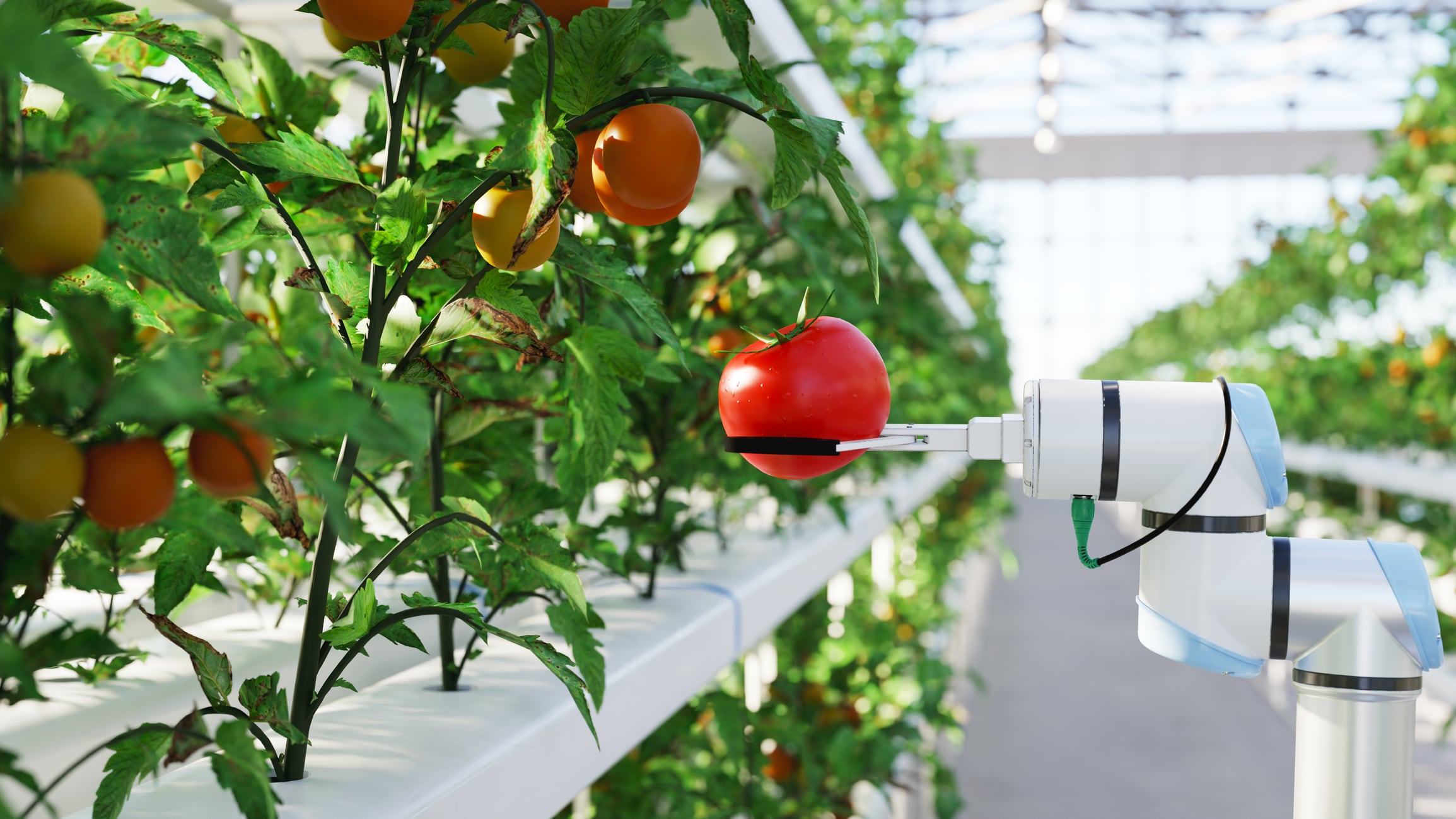 How AI is cutting violations in food
