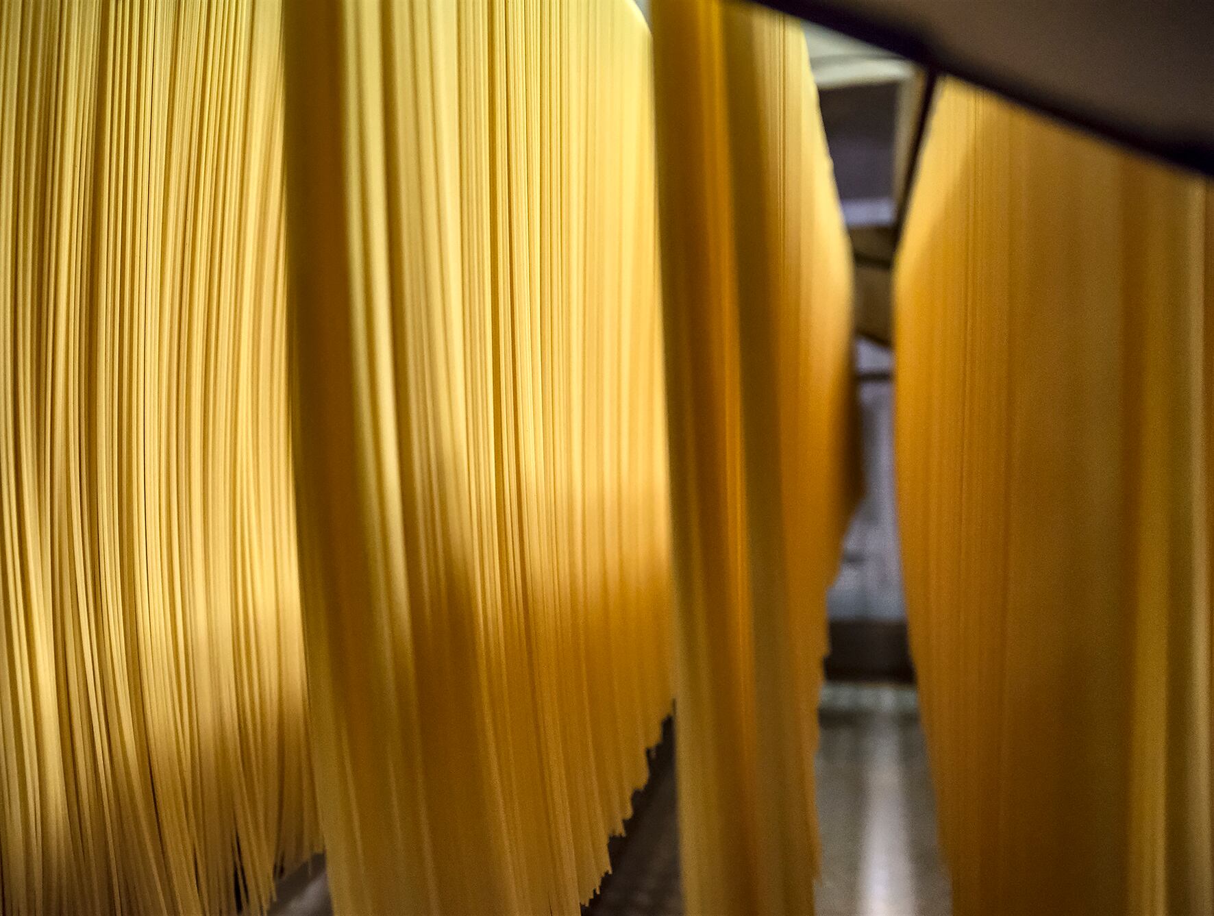 Barilla pasta