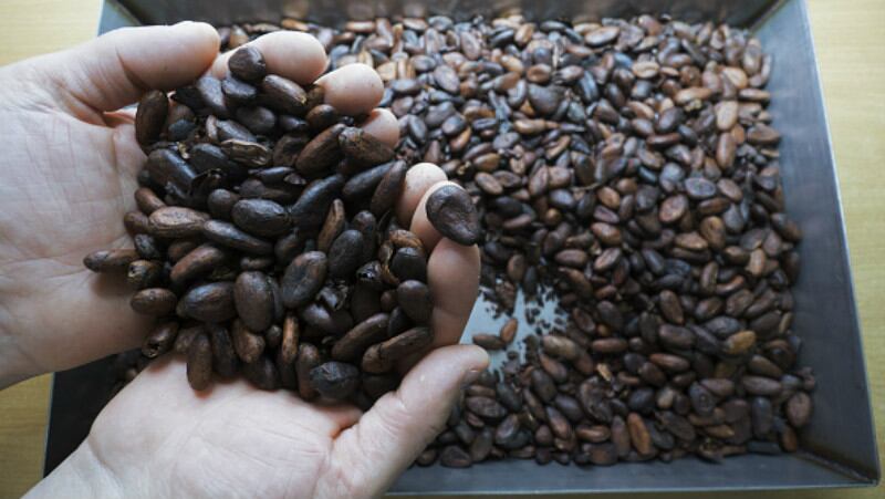 Big brand boost: Mondelez’s underscores global remit of new Indonesian cocoa crop science centre