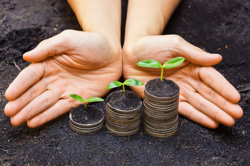 coins-trees-sustainability.jpg