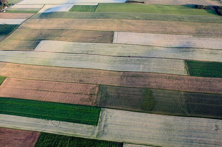 field-farm-crop.jpg