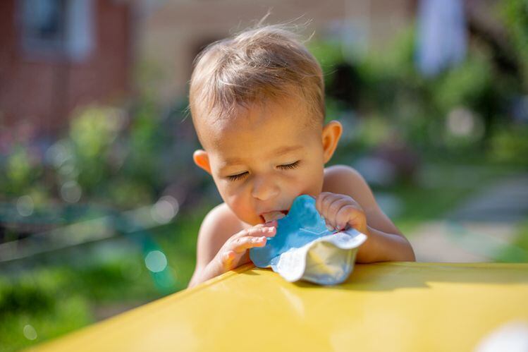 Is-baby-food-with-pureed-fruits-veggies-too-sugary-Judge-tosses-mushy-and-speculative-lawsuit-vs-Sprout-Foods.jpg