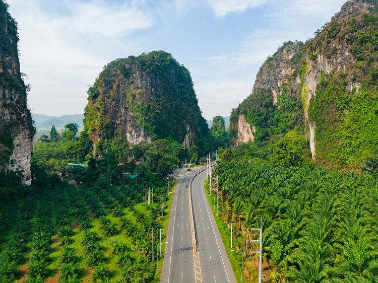 Can sustainable palm oil be certified at state or even national level?