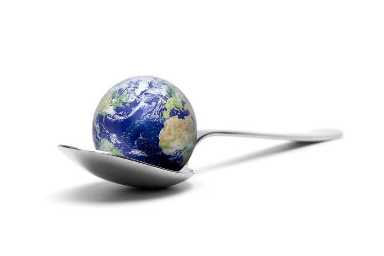 COP29: Was food sector progress made?