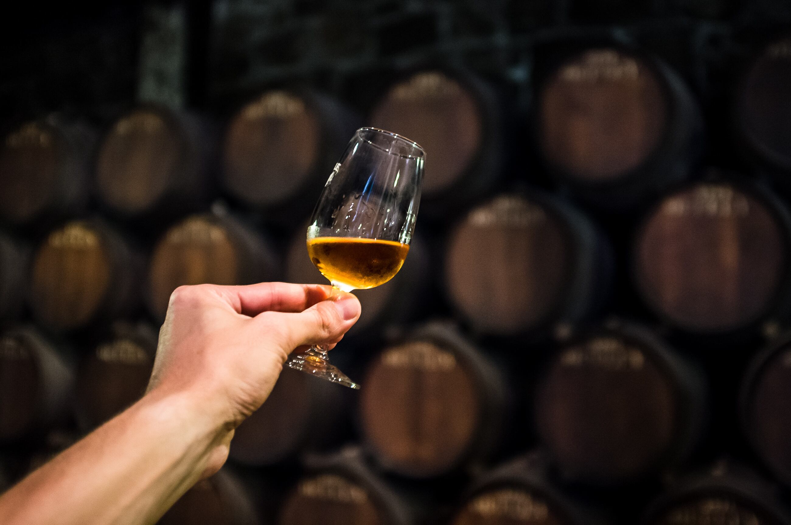 Shanghai alcohol warning label trials in full swing across online and offline sales